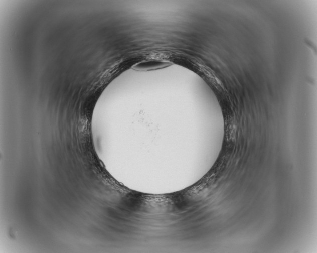 X0000096140521200802081351
