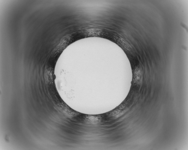 X0000096140522200802081351