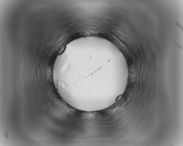 X0000096140523200802081351
