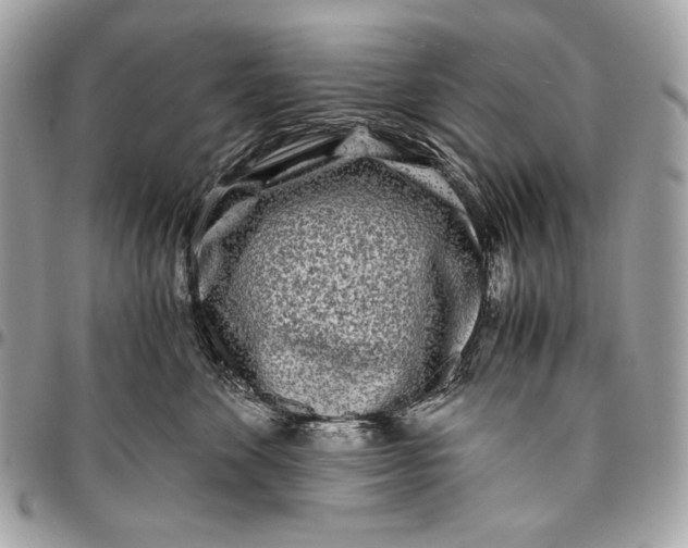X0000096140524200802081351