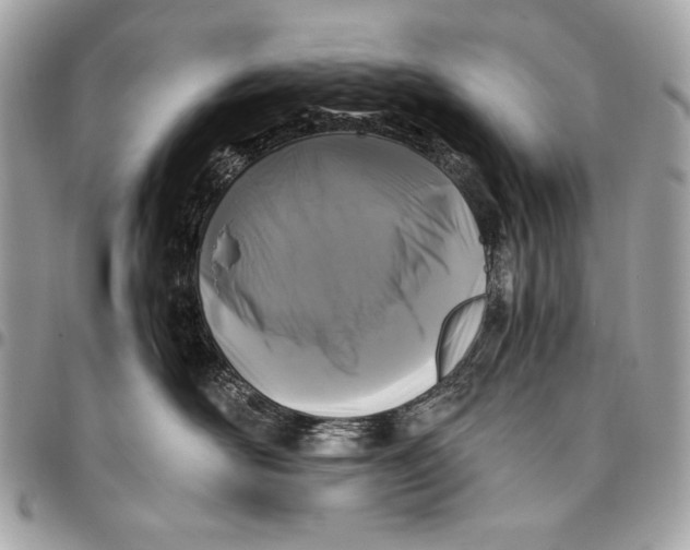 X0000096140526200802081351