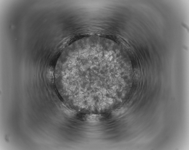 X0000096140527200802081351