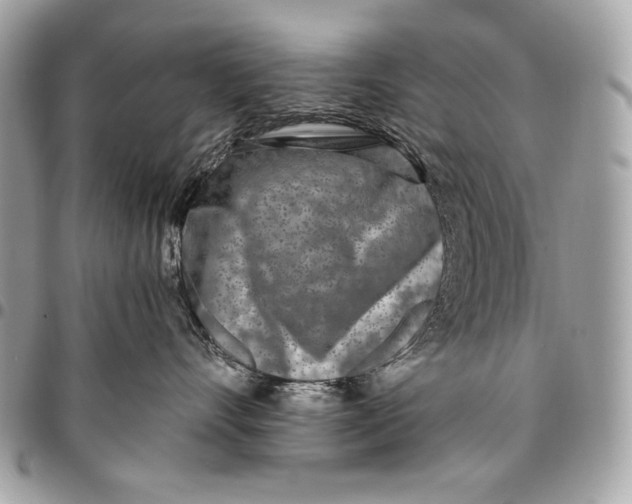 X0000096140528200802081351