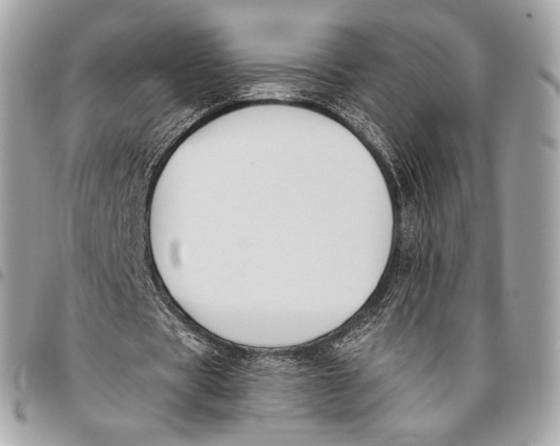X0000096140529200802081350