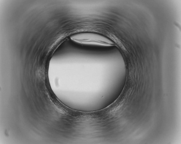 X0000096140530200802081350