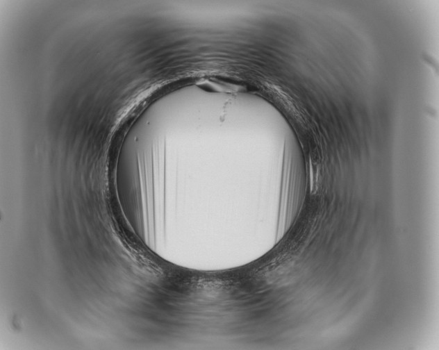 X0000096140531200802081350