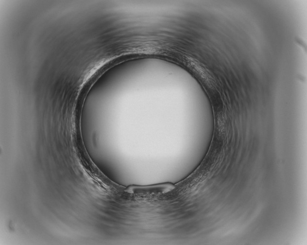 X0000096140532200802081350