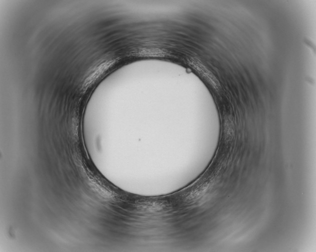 X0000096140533200802081350