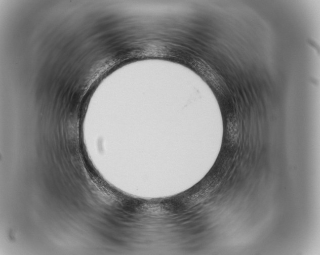 X0000096140534200802081350