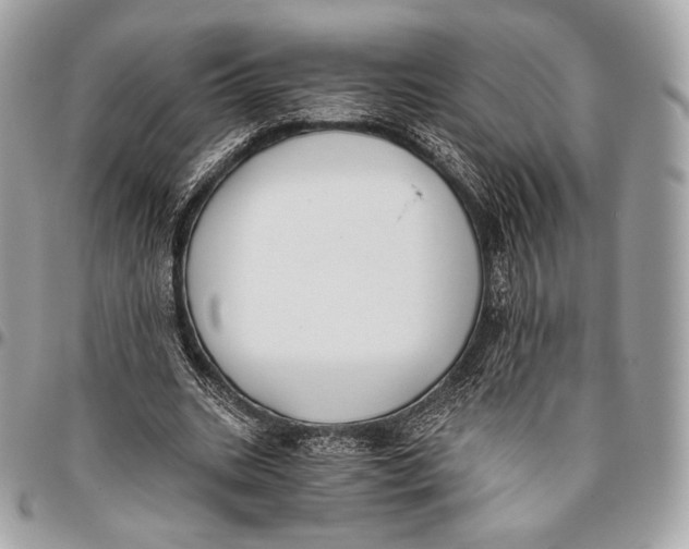 X0000096140535200802081350