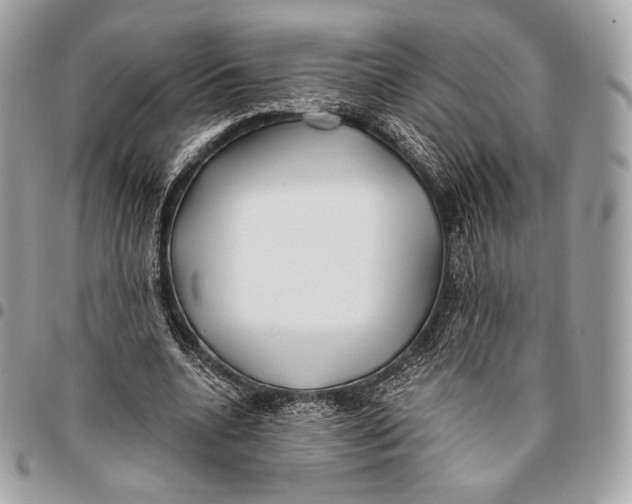 X0000096140536200802081350