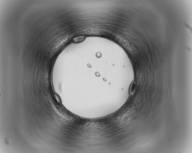 X0000096140538200802081350