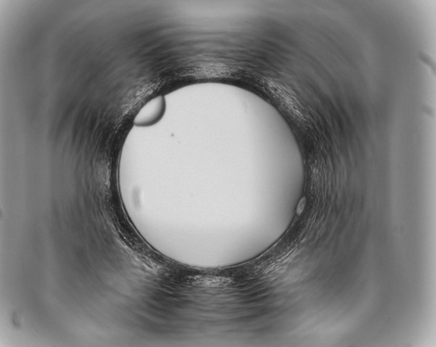 X0000096140539200802081350