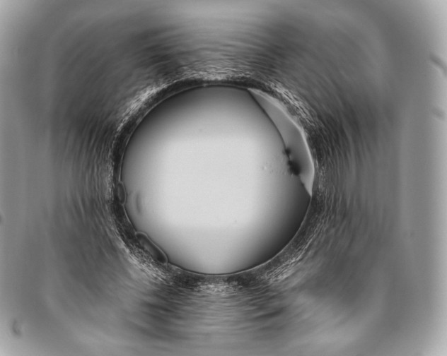 X0000096140540200802081350
