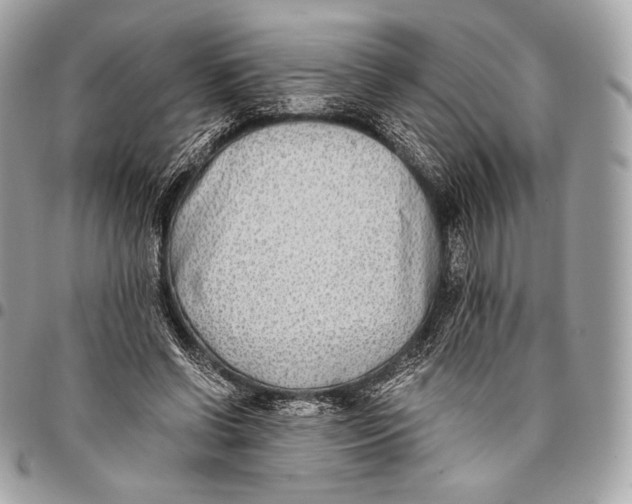 X0000096140542200802081350