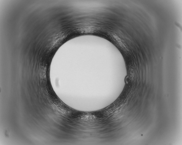 X0000096140543200802081350