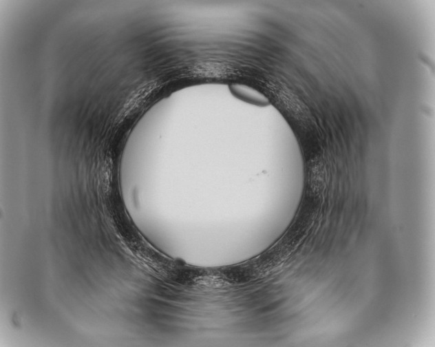 X0000096140544200802081350