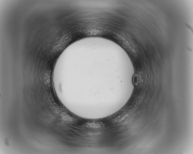 X0000096140545200802081350