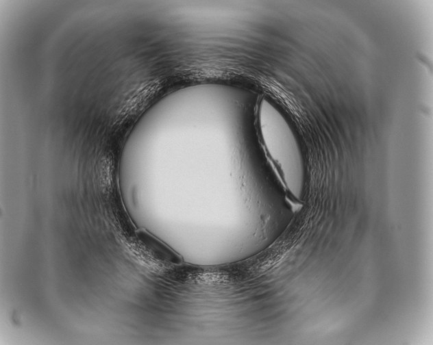 X0000096140546200802081350