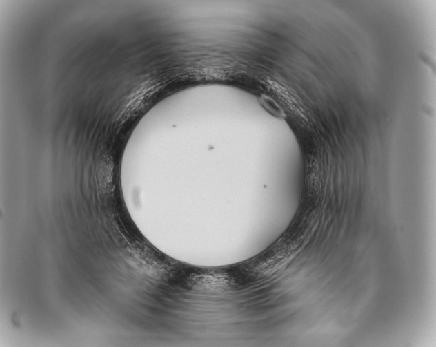 X0000096140548200802081350