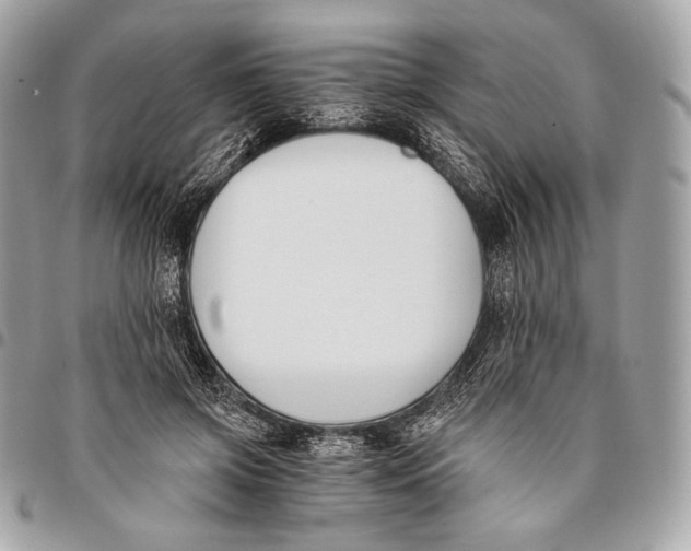 X0000096140549200802081350