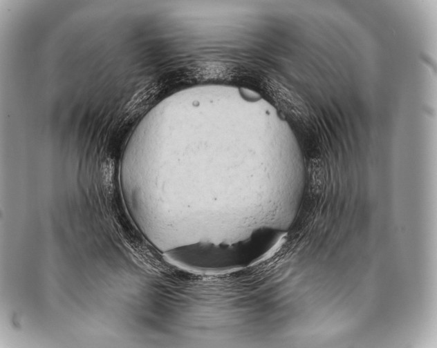 X0000096140550200802081350