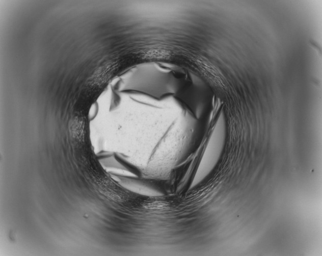 X0000096140551200802081350