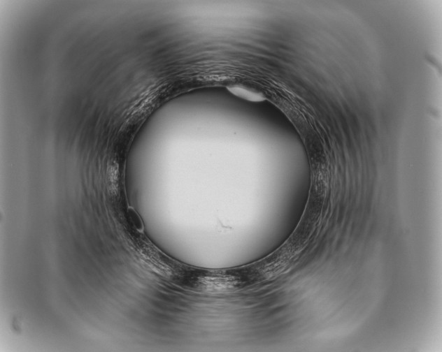 X0000096140556200802081350