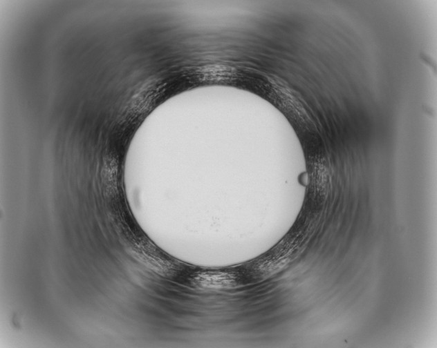 X0000096140557200802081350