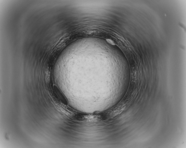 X0000096140558200802081350