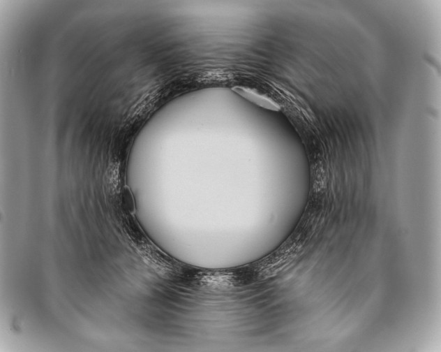 X0000096140560200802081350