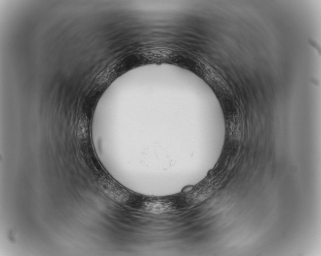 X0000096140561200802081350