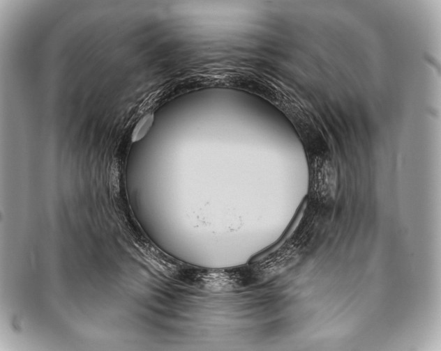 X0000096140562200802081350