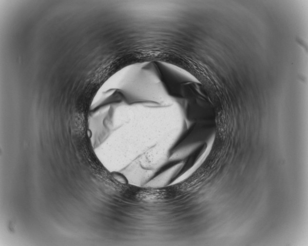 X0000096140563200802081350