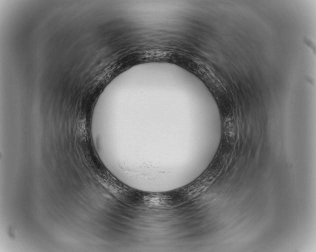X0000096140564200802081350
