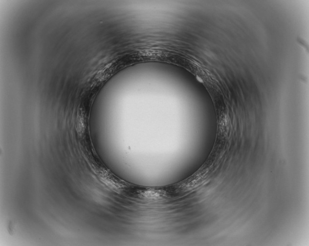 X0000096140566200802081350