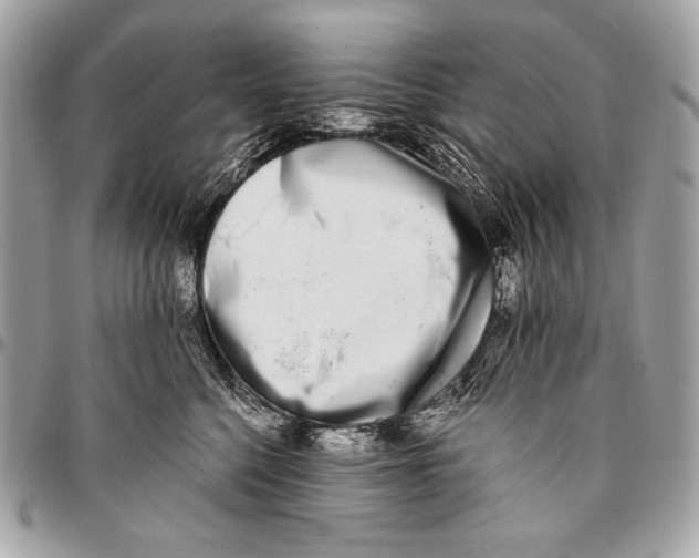 X0000096140568200802081351
