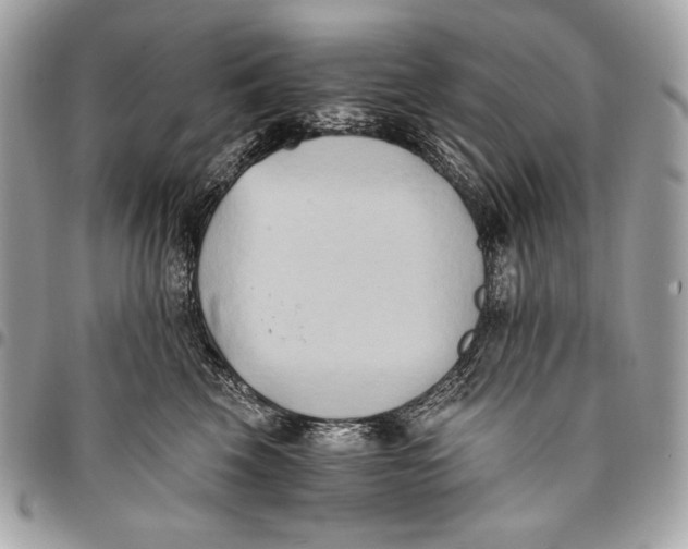 X0000096140569200802081351