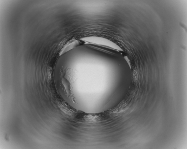 X0000096140570200802081351