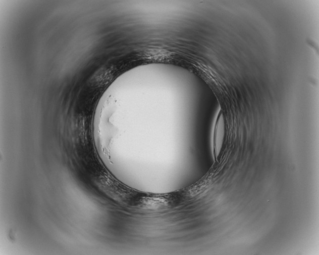 X0000096140572200802081351