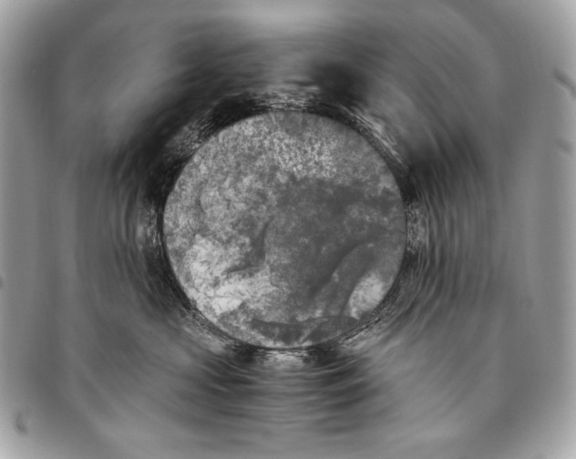 X0000096140573200802081351