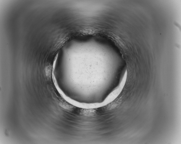 X0000096140576200802081351