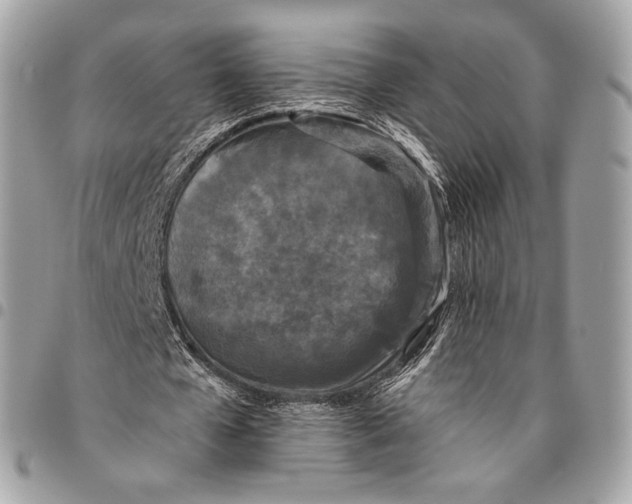X0000096140577200802081350