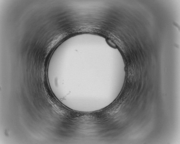 X0000096140578200802081350