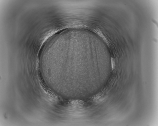 X0000096140579200802081350