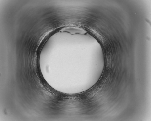 X0000096140580200802081350