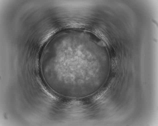 X0000096140581200802081350