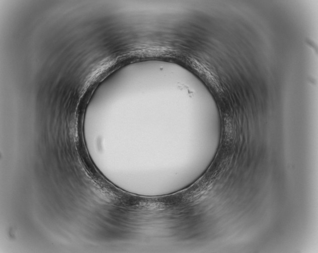 X0000096140582200802081350