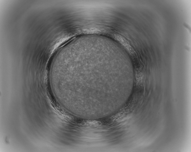 X0000096140583200802081350