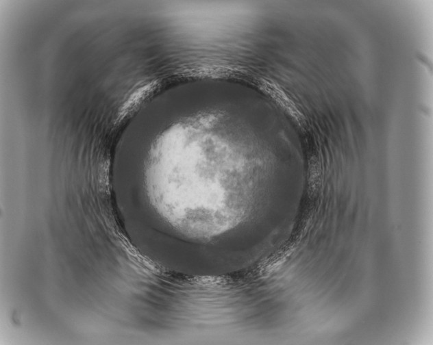 X0000096140585200802081350